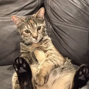 Meet your Posher, Ashley